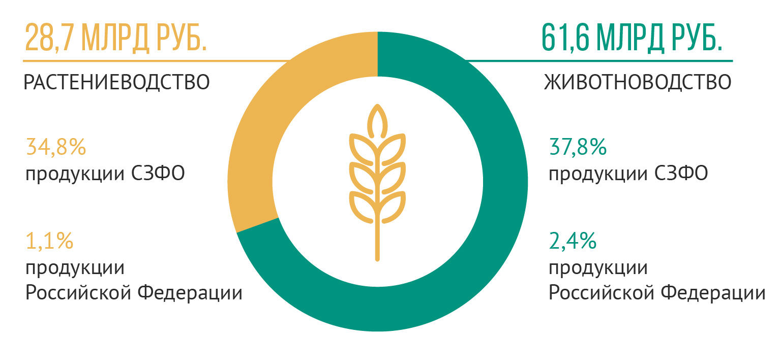 Какие зерновые культуры выращивают в ленинградской области?