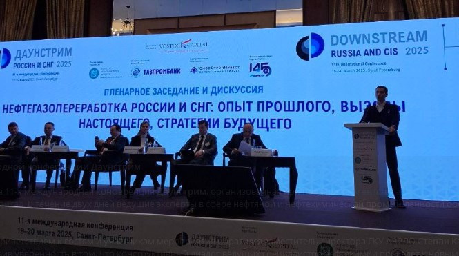Ленобласть на международной конференции Даунстрим