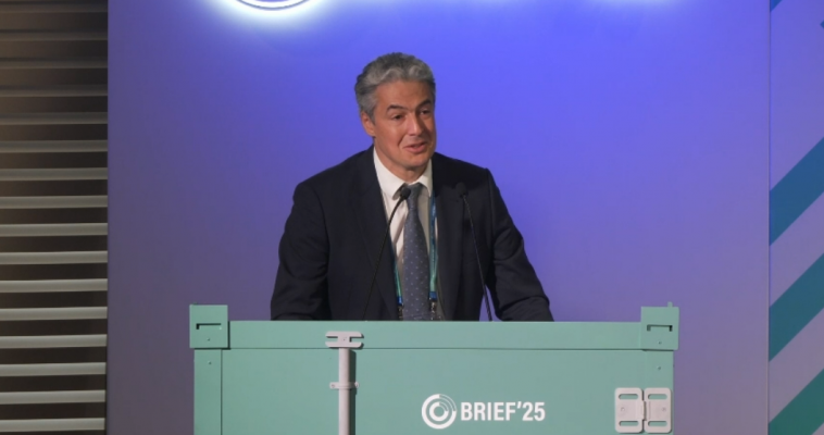 Практика и проблематика инвестиционной активности в России и Ленинградской области