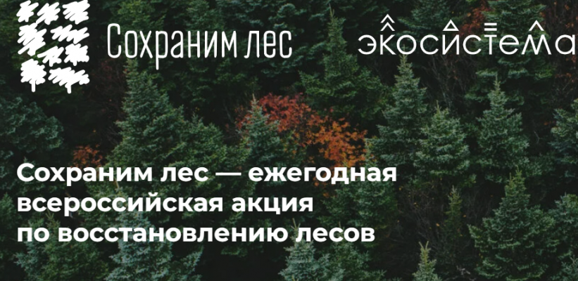 Сохраним лес вместе